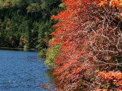 信州八ヶ岳・野辺山高原ペンション森のふぁみりぃ　白駒池の紅葉